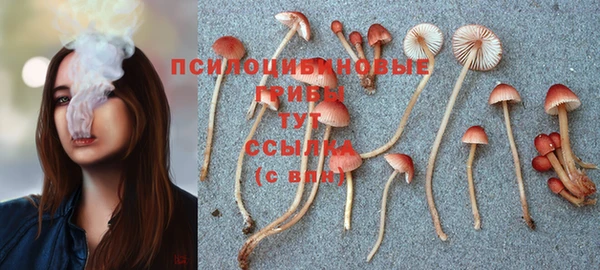 соль ск Алексин