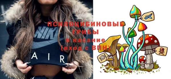 соль ск Алексин