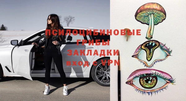 соль ск Алексин