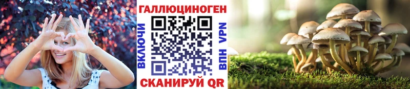 Псилоцибиновые грибы мицелий  Нелидово 